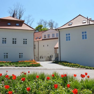 image-46